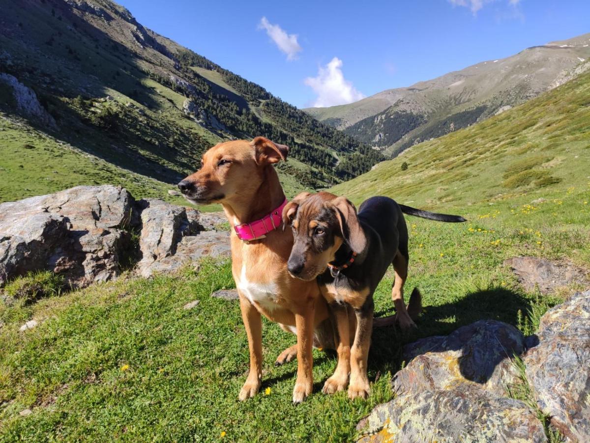 Apartaments Vall De Nuria Queralbs Zewnętrze zdjęcie